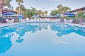 Magic Tree Resort-4687